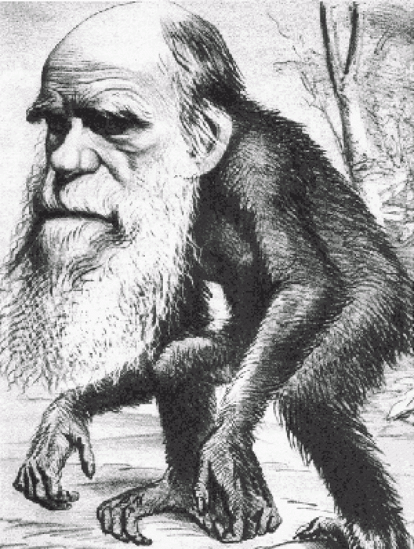 Top Ten Scientific Facts : Evolution is False and Impossible – The