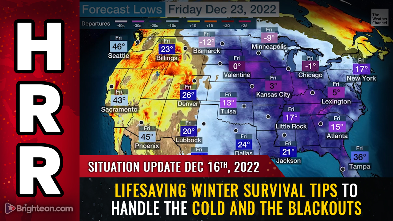 Image: A big winter FREEZE WAVE is coming for Western Europe and North America – learn winter survival tips and power grid BLACKOUT solutions from the Health Ranger in today’s podcast