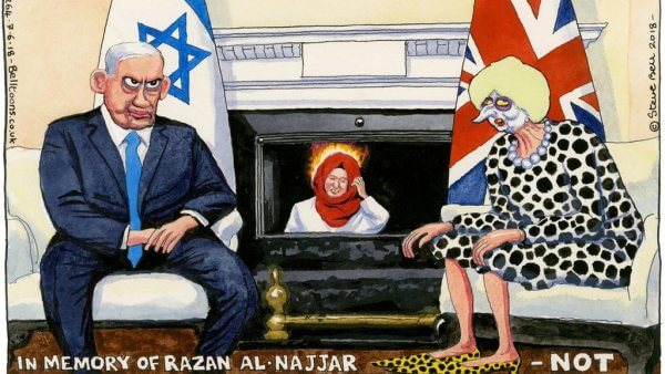 Steve Bell