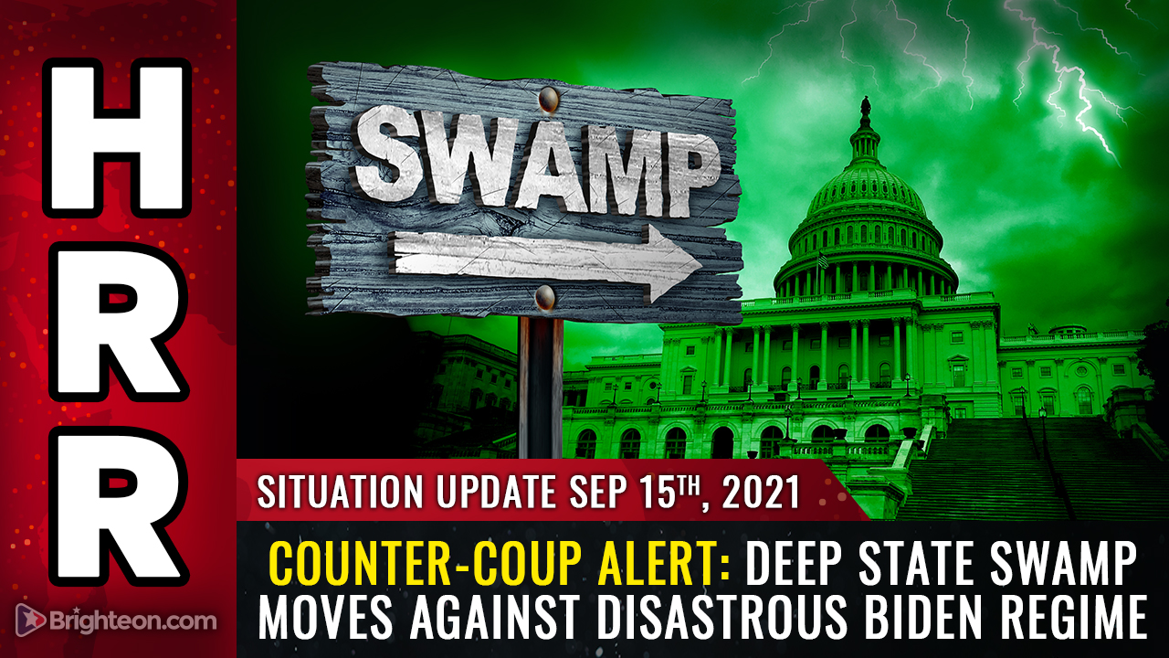 Image: COUNTER-COUP: Deep state swamp moves against disastrous Biden regime as swamp creatures realize the whole country could burn down if they don’t stop the madness