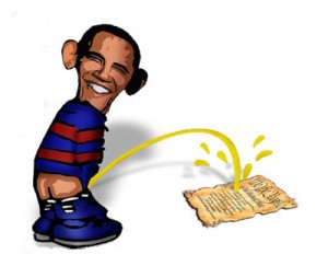 Obama Constitution