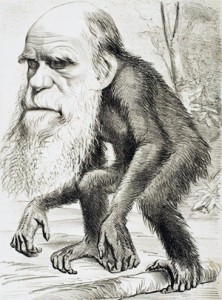 DarwinApe