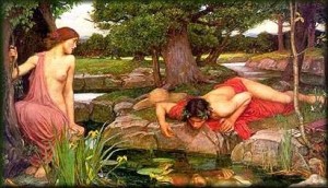 Narcissus1